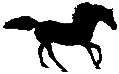 #3060ST&nbsp;Andalusian Stallion 1979