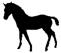 #3045FO&nbsp;Quarter&nbsp;Horse Foal 1974