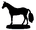 #641 Show Thoroughbred 2008