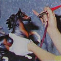 Foto aus dem Breyer Katalog 2004