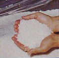 Foto aus dem Breyer Katalog 2004