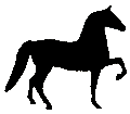 #9005 Morgan&nbsp;Stallion 1984