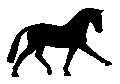 #??&nbsp;Dressage 2010