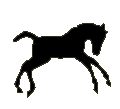 #5613 Scrambling Foal 2000
