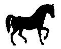 #7 Family Arabian Stallion 1959 (in Kooperation mit C. Hess)