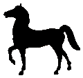 #P45 Fury&nbsp;Prancer 1954