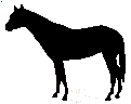 #435 Secretariat 1987
