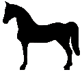 #45 Western Pony fr&uuml;he 50er Jahre