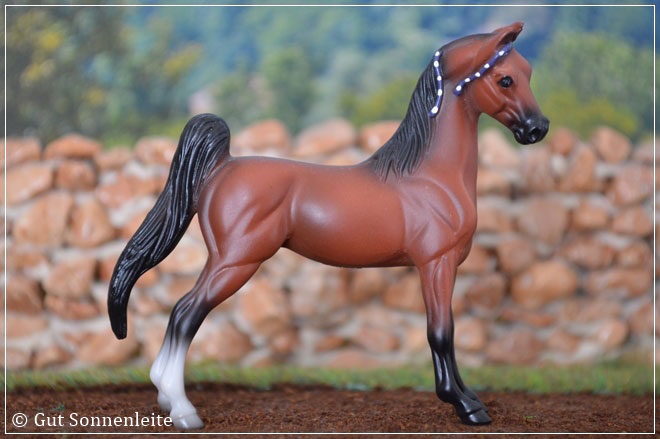 #5202 American Saddlebred - bay