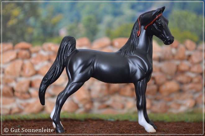 #5309 American Saddlebred - black