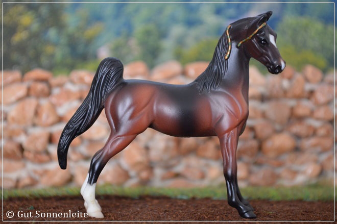 #5984 Amercian Saddlebred - mahagony bay
