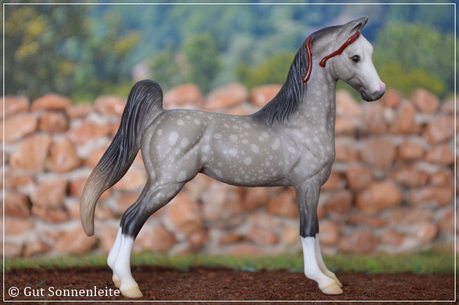 #59978 Amercian Saddlebred - dapple gray (resist dappling)