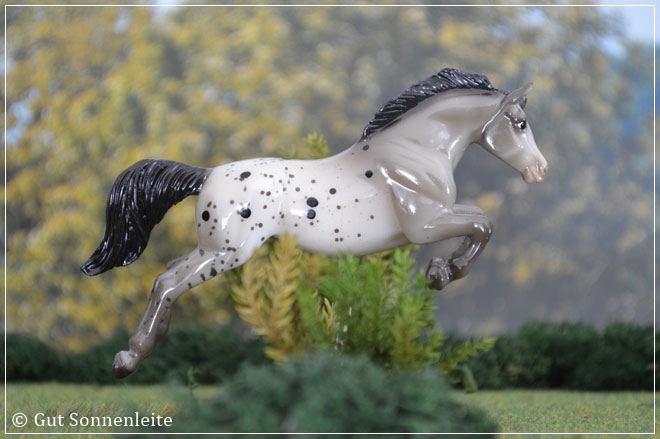 #712075 Jumper - grey blanket appaloosa - glossy Finish