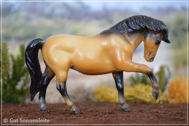 #5050 Quarter Horse Mare - buckskin