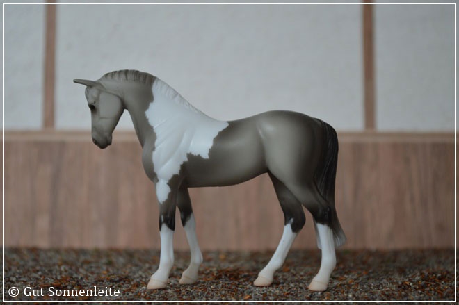 #720232 Thoroughbred Standing - grey pinto