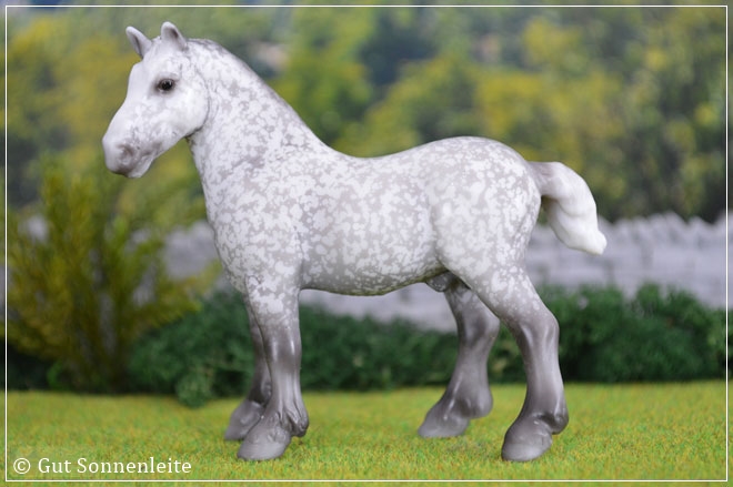 #5942 Vaulting - dapple gray