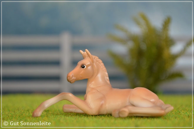 OF-Modell in einem Diorama fotografiert