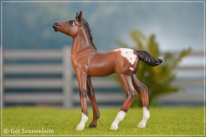 #6127 Warmblood Standing Foal - bay blanket appaloosa